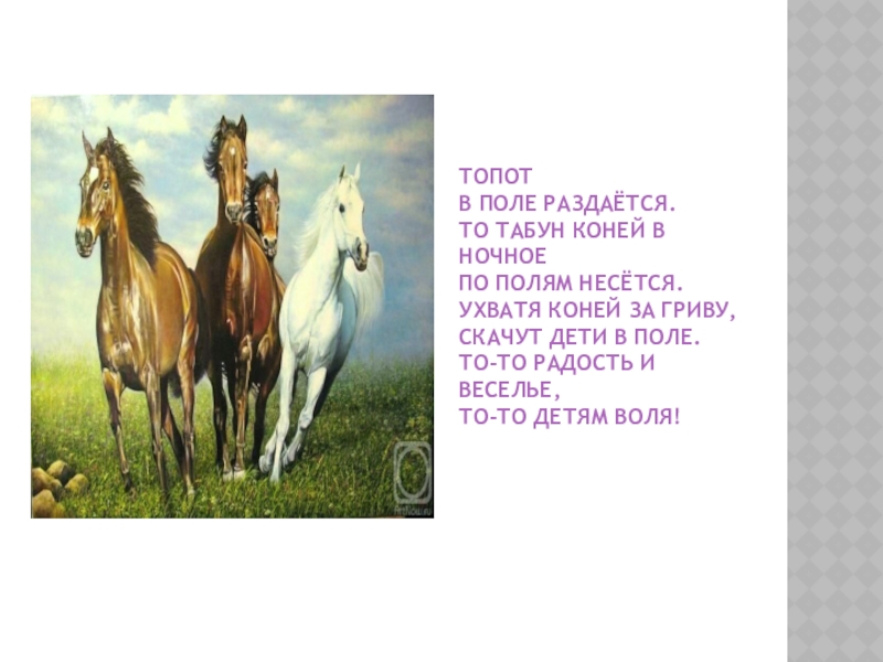 Топот лошадей звук. Топот лошадей. Стихотворение про стадо лошадей. Стихотворение «табун». Табун лошадей стих.