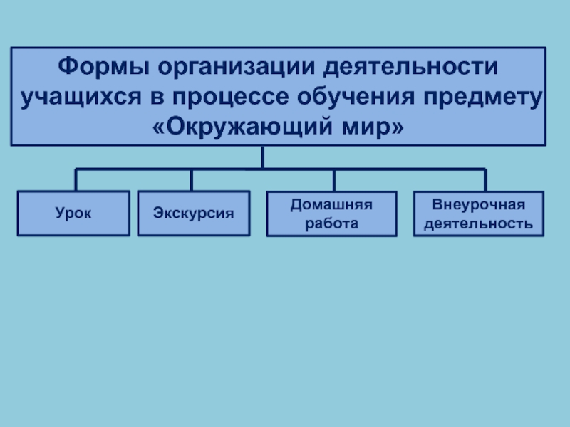 Формы практической деятельности. Формы организации деятельности учащихся. Формы обучения предмету окружающий мир. Базовые формы деятельности студентов. Формы организации учёных.