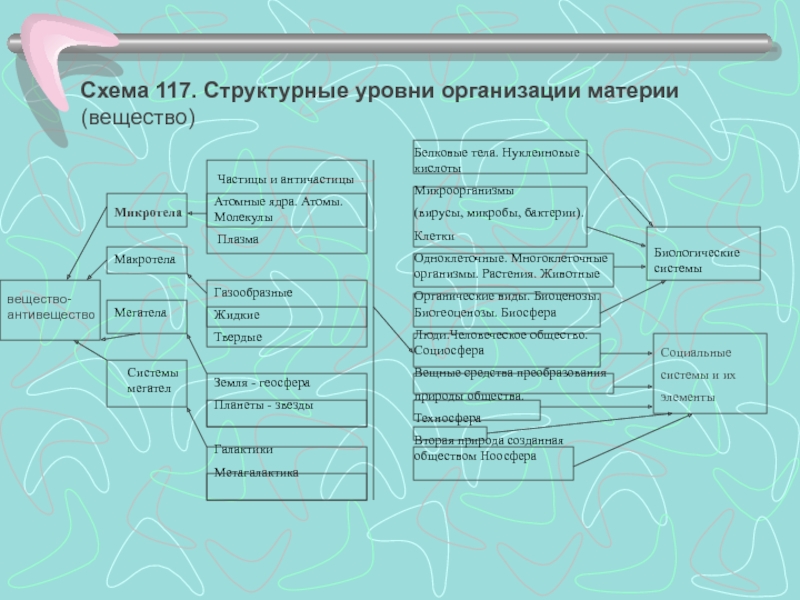 Структурная организация материи