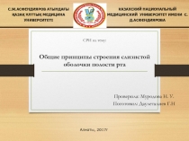 СРИ на тему: Общие принципы строения слизистой оболочки полости рта