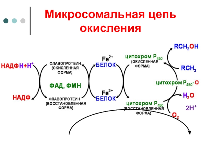 Активность микросомальных ферментов. 2 Цепи микросомального окисления. Схема микросомального окисления биохимия. Ингибитор микросомального окисления p450. Электронотранспортные цепи системы микросомального окисления.