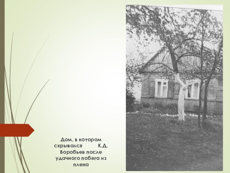 Дом, в котором скрывался      К.Д. Воробьев после удачного побега из плена