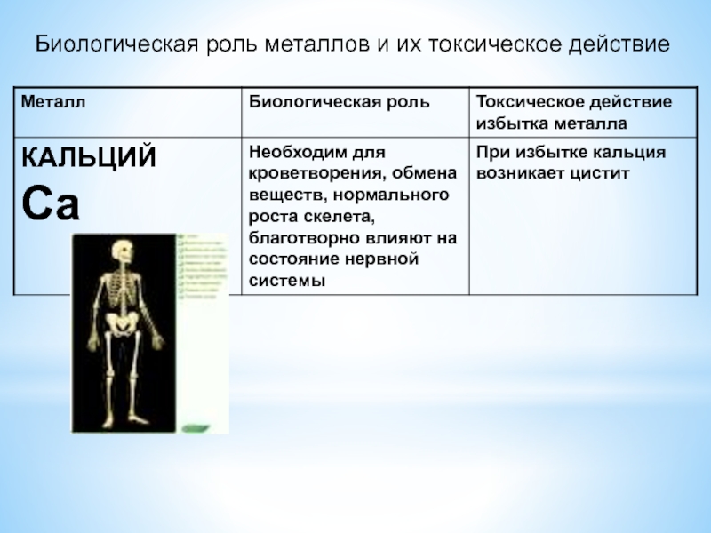 Биологическая роль металлов презентация