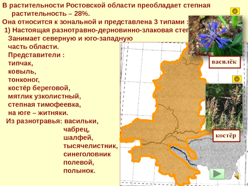 Описание ростовской области по плану