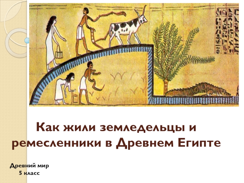 Как жили земледельцы и ремесленники в Древнем Египте