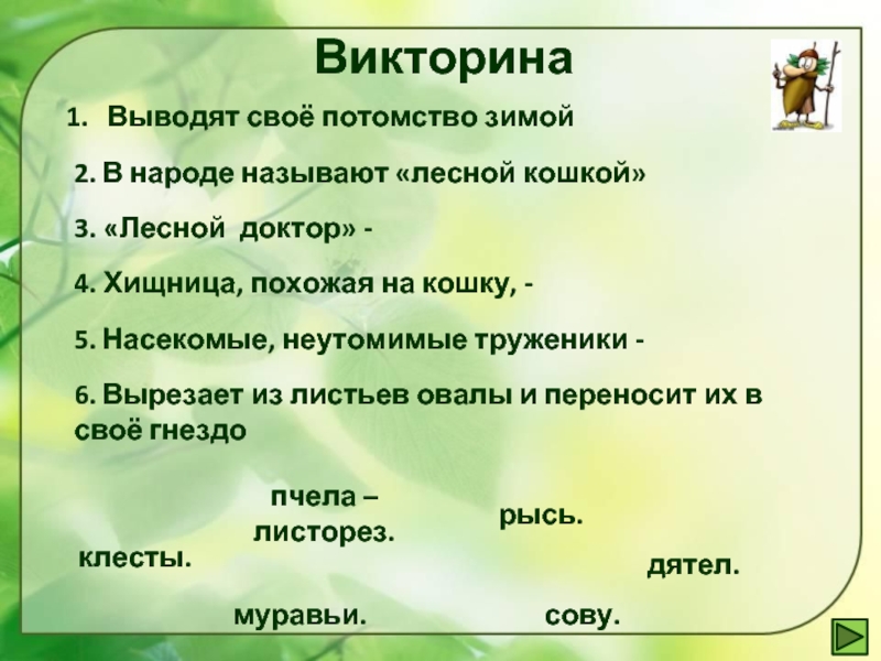 Лес какой вопрос. Викторина про лес. Викторина о лесах. Викторина о лесе для дошкольников. Викторина про природу для детей.