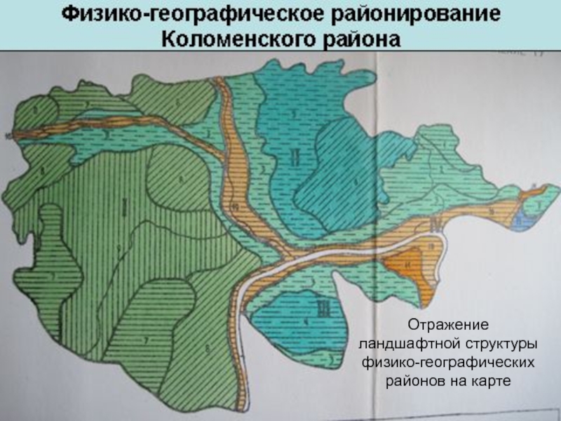 Физико географическое районирование. Физико географические районы. Физико-географическое районирование Москвы. Физико-географическое районирование Московской области. Физико-географическое районирование русской равнины.