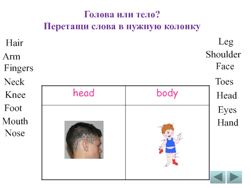 Презентация body parts