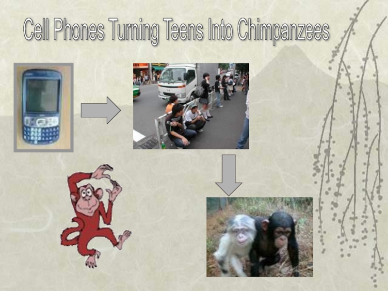 Презентация Cell Phones Turning Teens Into Chimpanzees 8 класс