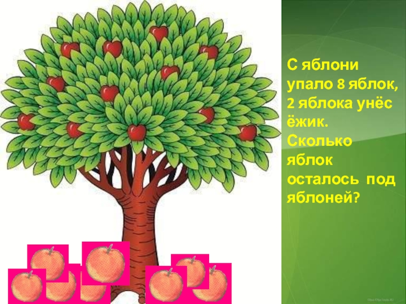 С яблони с высоты 5 м упало. Мимо яблоньки. Мимо яблоньки яблоко. Что мимо яблони падает. Мимо яблоньки не.