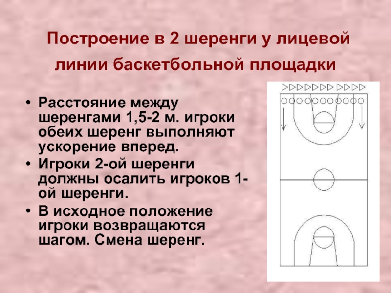 Построение в 2 шеренги у лицевой линии баскетбольной площадки Расстояние между шеренгами 1,5-2 м. игроки