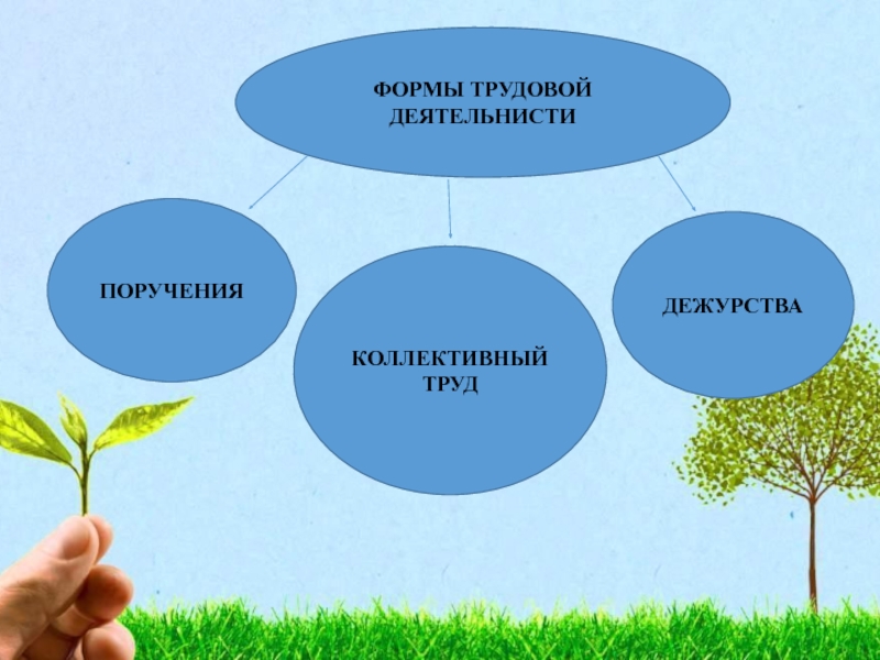 Ценностное отношение к природе