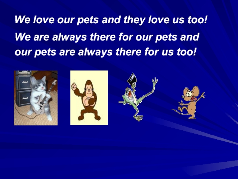 Keep pets перевод. Our Pets. Presentation about Pets.