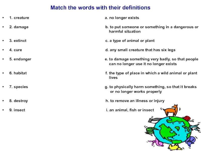 Match the words their