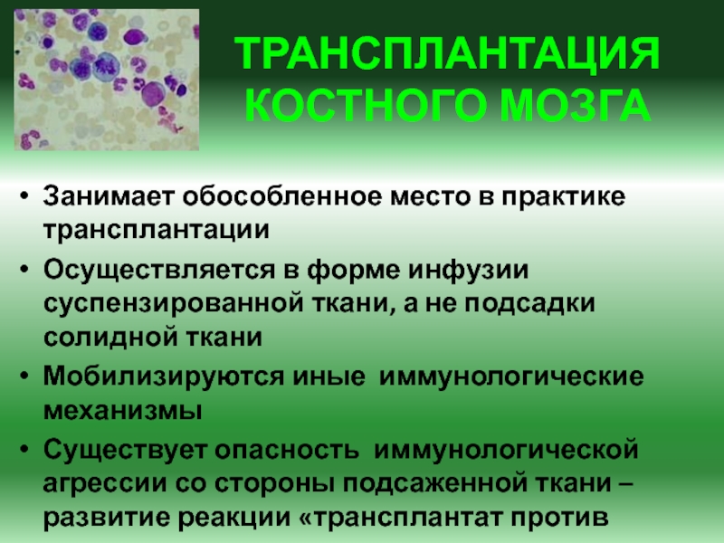 Как делают пересадку костного мозга. Трансплантология иммунология. Трансплантация клеток костного мозга. Пересадка костного мозга при лимфоме. Иммунологическое исследование костного мозга.