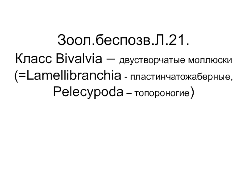 Зоол.беспозв.Л.21. Класс Bivalvia – двустворчатые моллюски (=Lamellibranchia -