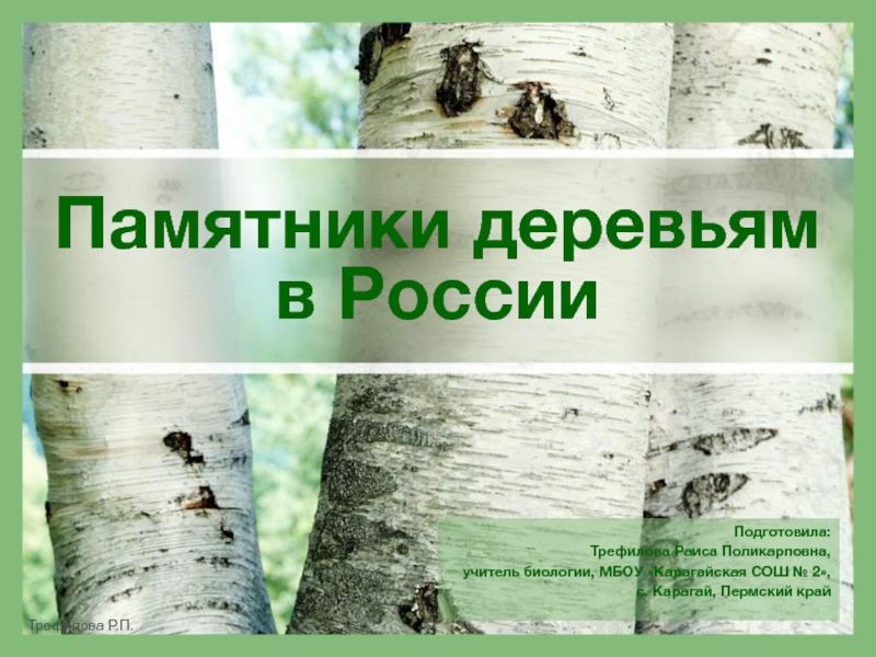 Памятники деревьям в России