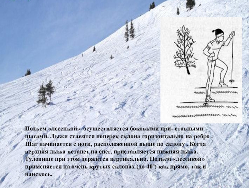 Подъем и спуск с горы. Способы подъема на склон на лыжах. Способ подъема лесенкой на лыжах. Способы подъема в гору на лыжах. Техника преодоления подъемов на лыжах.