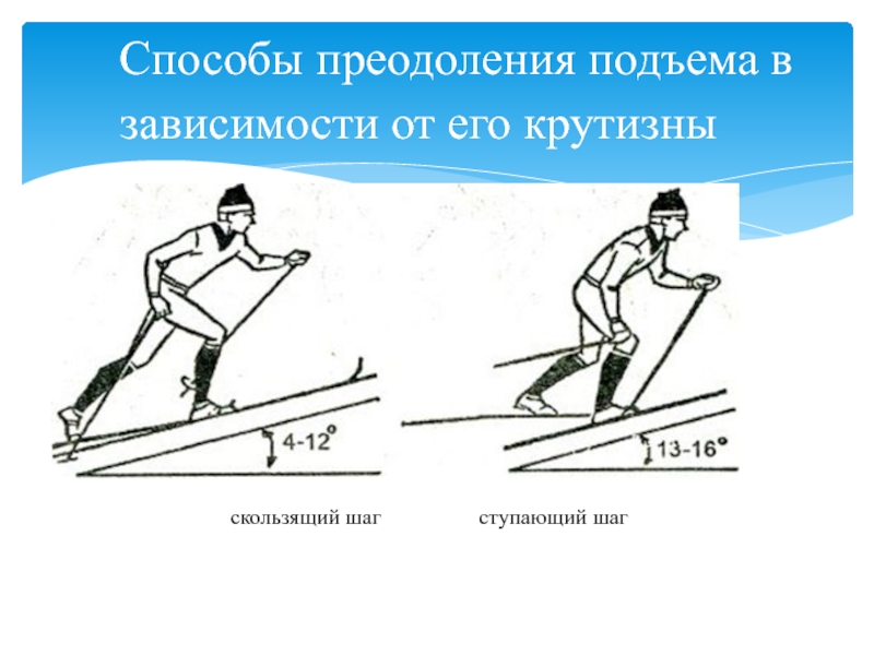 Передвижение на лыжах скользящий шаг. Способы подъема на лыжах ступающим шагом. Техника выполнения подъема скользящим шагом. Подъем скользящим шагом на лыжах. Подъем скользящим шагом на лыжах техника.