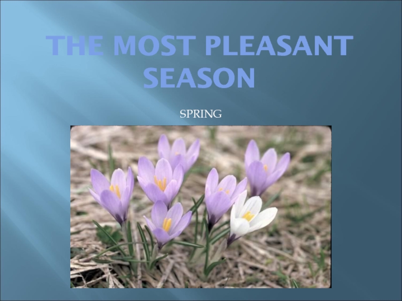 The most pleasant season 8 класс