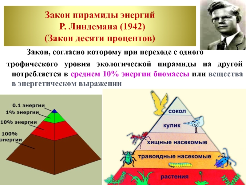 Причины неточности схемы линдемана