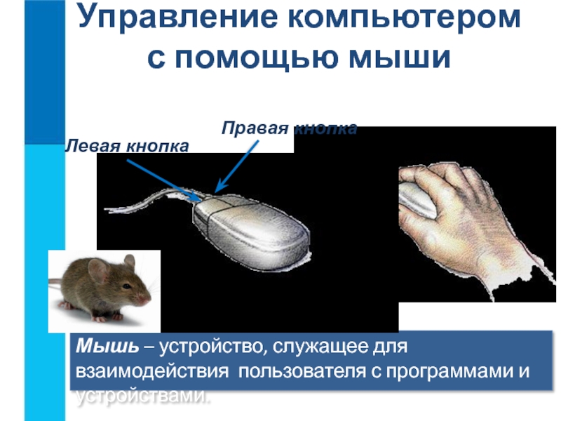 Мышь и другие устройства управления компьютером презентация