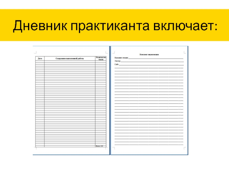 Включи дневники. Дневник практиканта продавец продовольственных товаров. Дневник шиномонтажа практиканта. Практикант на складе. Дневник ежедневной записи.