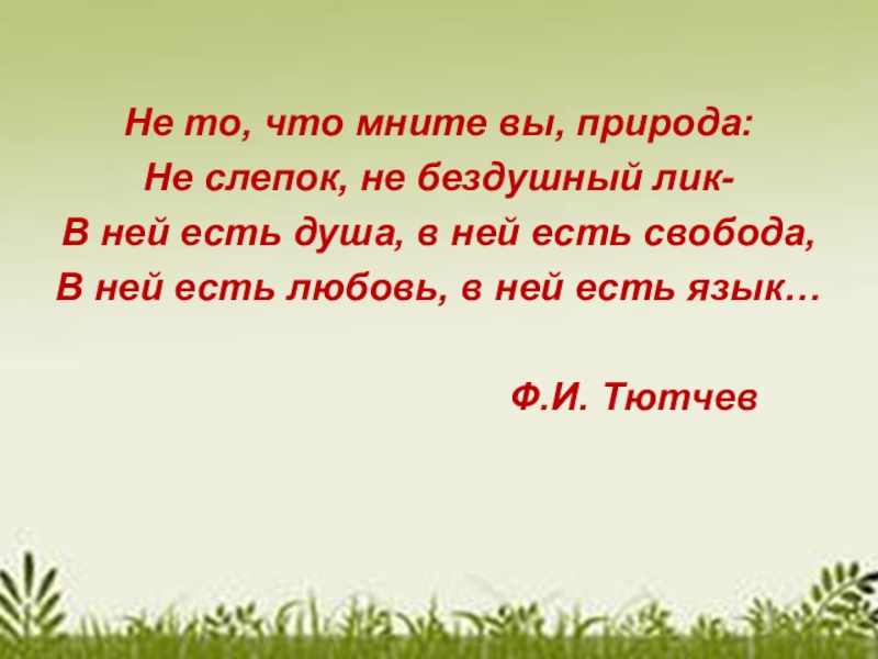 Тютчев не то что мните вы природа. Не что мните вы природа. Не то что мните мне природа стих. Природа не Бездушный лик в ней есть душа в ней есть Свобода. Стих Тютчева не то что мните мне природа.