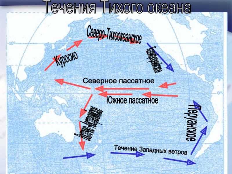 Течение западных ветров характеристика