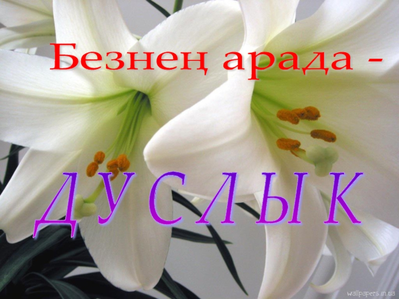 Дружбой умей дорожить Безнең арада - Д У С Л Ы К Безнең арада - Д У С Л Ы К