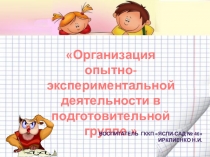 Организация опытно-экспериментальной деятельности в подготовительной группе 