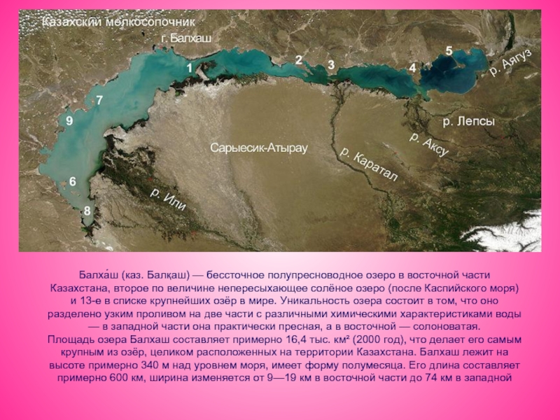 Впадает в балхаш сканворд. Бессточные озера Балхаш. Описание озера Балхаш. Озеро Балхаш сообщение. Пресно соленое озеро в Казахстане.