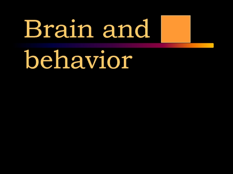 Презентация brain and behavior 