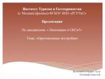 Институт Туризма и Гостеприимства (г. Москва) (филиал) ФГБОУ ВПО  РГУТиС