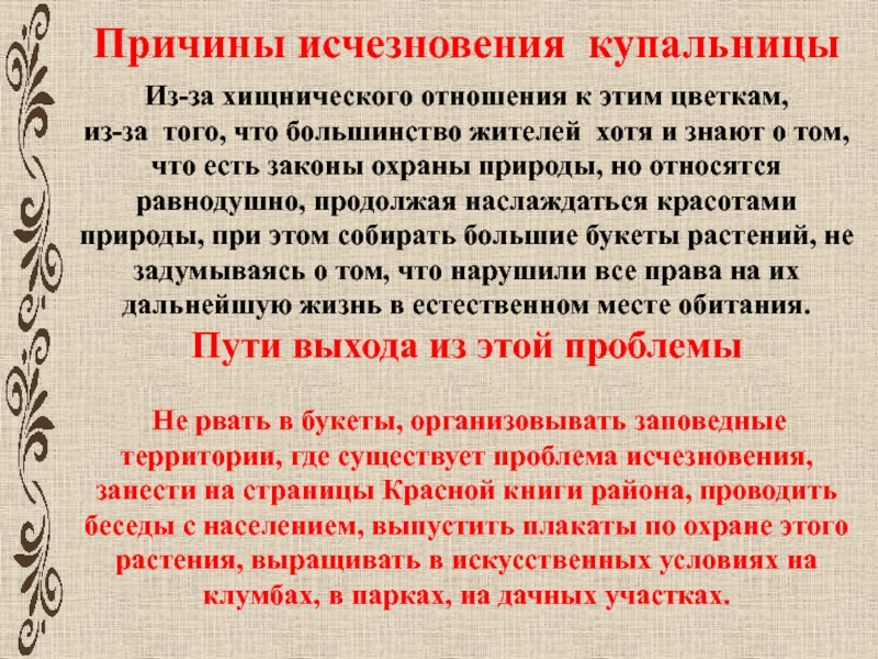 Причины исчезновения исторических традиций. Причины исчезновения Купальницы. Причины вымирания Купальницы.