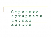 Строение эукариотических клеток