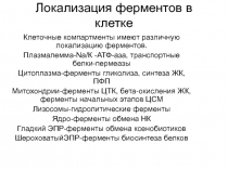 Локализация ферментов в клетке