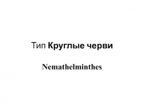Тип Круглые черви Nemathelminthes