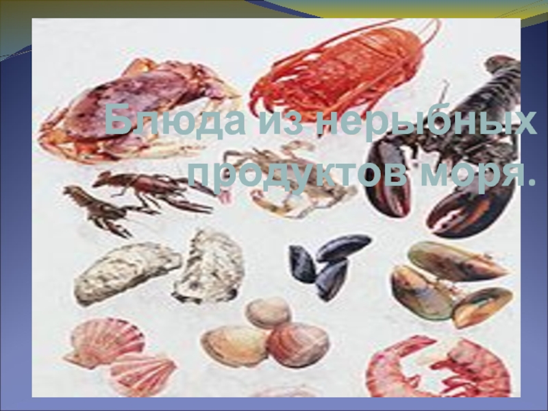 Презентация Блюда из нерыбных продуктов моря