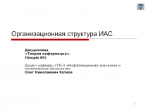 Организационная структура ИАС