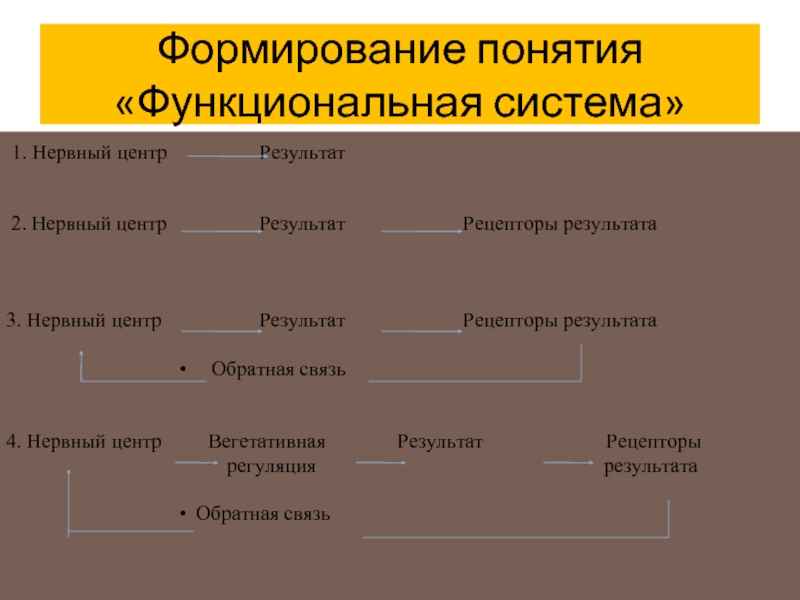 Развитие понятия система