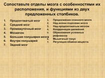 Сопоставьте отделы мозга с особенностями их расположения, и функциями из двух