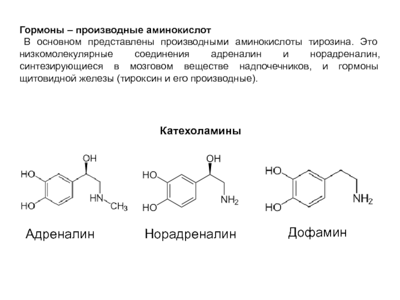 Какой гормон вырабатывает железа обозначенная на рисунке под буквой а