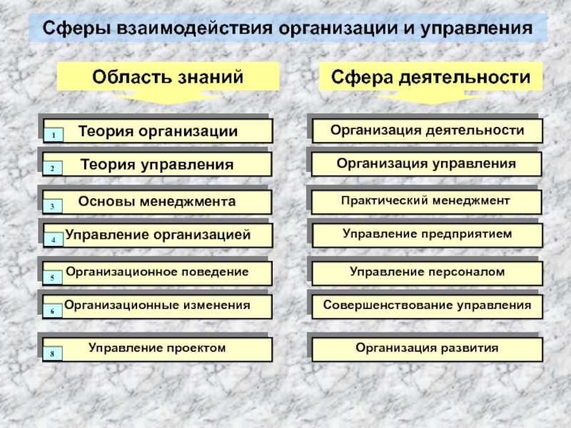 Какая сфера управления. Сфера деятельности организации. Сферы взаимодействия. Сферы управления государства. Виды сфер деятельности организации.