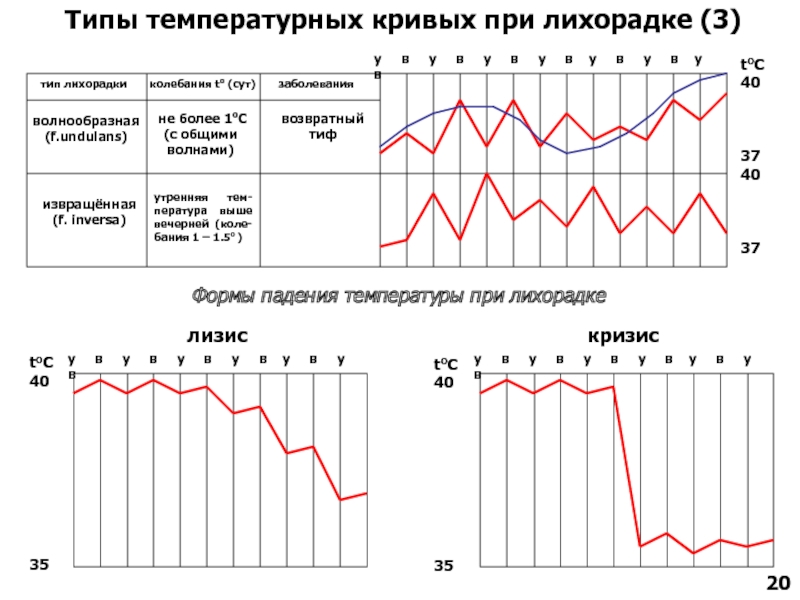 Виды лихорадок по степени колебания температуры в течение суток схема