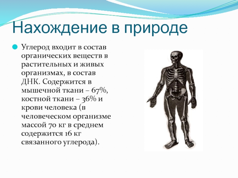 Углерод в природе. Нахождение в природе углерода. Чистый углерод в природе. Распространение углерода в природе. Углерод в природе встречается.