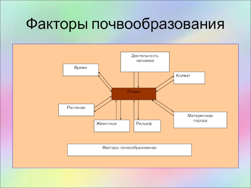 Схема почвообразующие факторы. Факторы почвообразования 6 класс. Факторы почвообразования схема. Факторы формирования почвы. Процесс почвообразования схема.