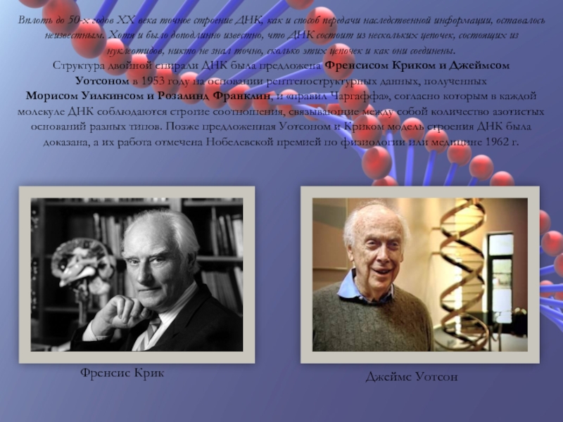 Исследования днк человека надежды и опасения презентация