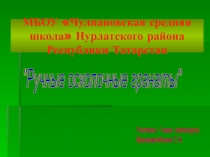 Ручные осколочные гранаты РГД-5, Ф-1