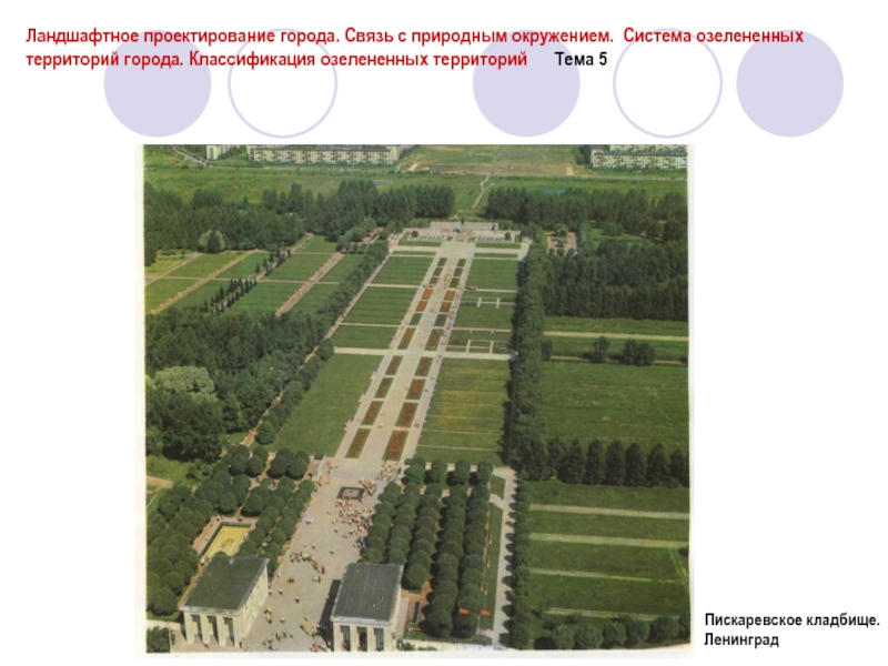 Схема захоронений на пискаревском кладбище в санкт петербурге